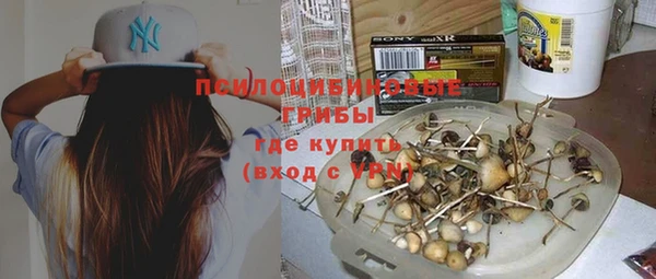 сатива Аша