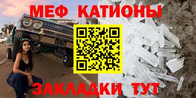 стаф Камышлов