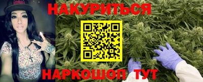 стаф Камышлов