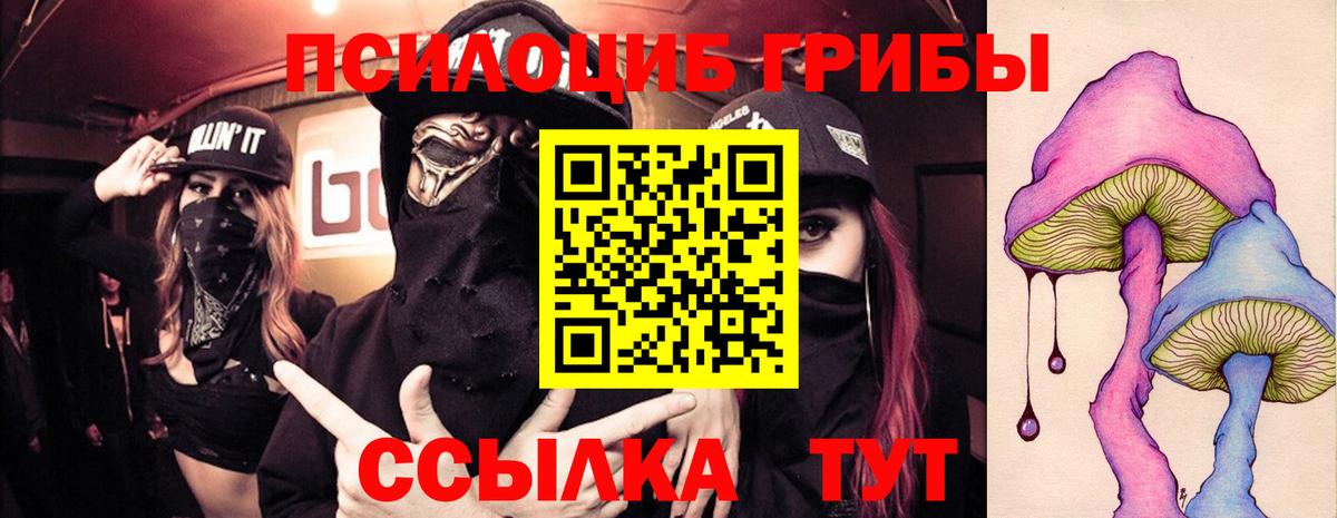 Галлюциногенные грибы Psilocybe  Пенза 
