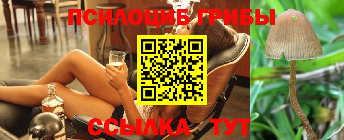 Пенза  Галлюциногенные грибы прущие грибы  Галлюциногенные грибы Psilocybine cubensis  Вход с VPN 
